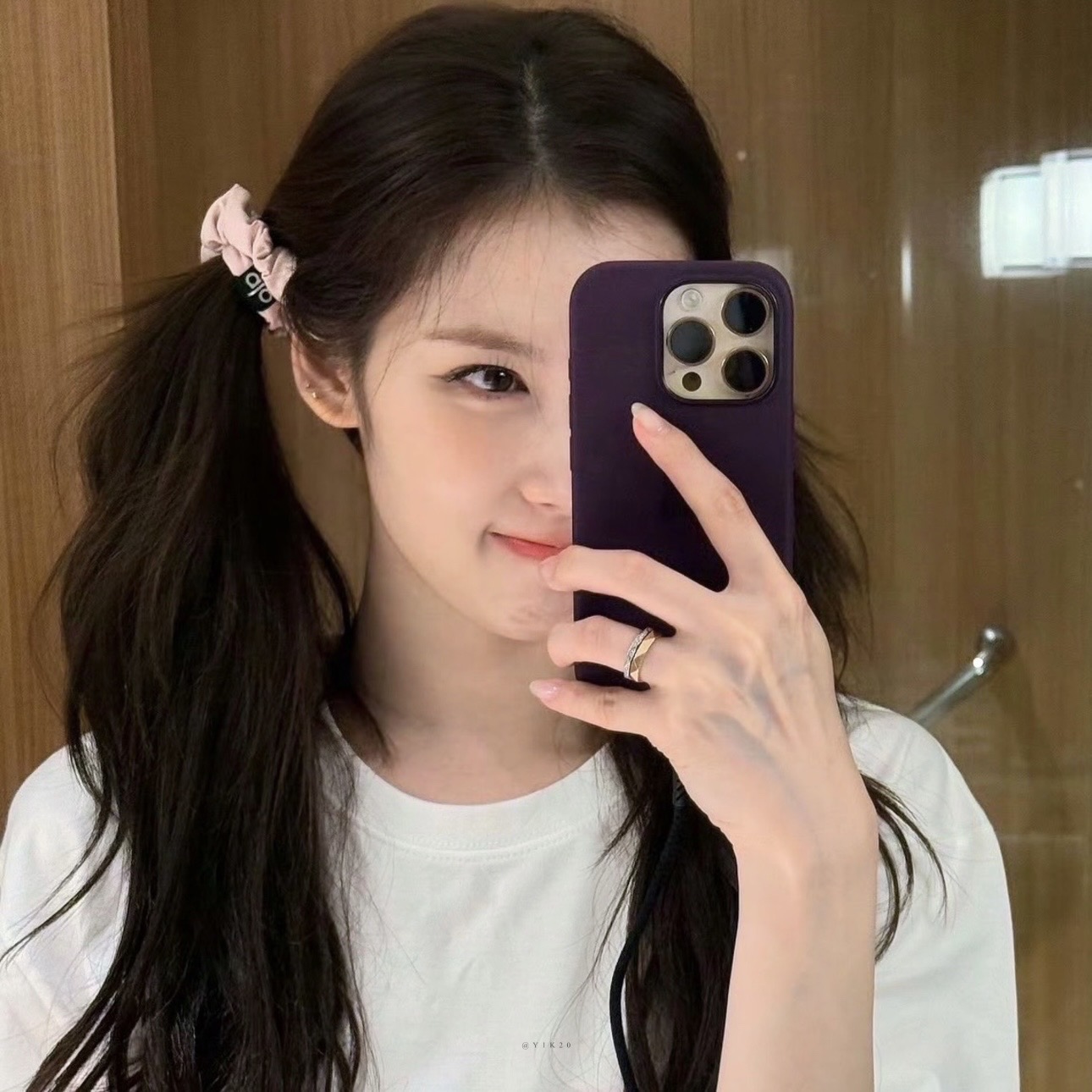 King Charles Cavalier